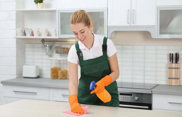 Daily Cleaning of Your Quartz Countertop
