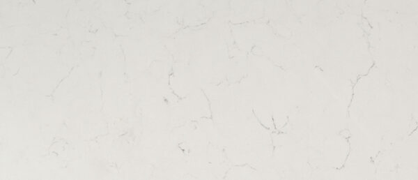Carrara Delphi MSI Quartz Countertops - AMF Granite