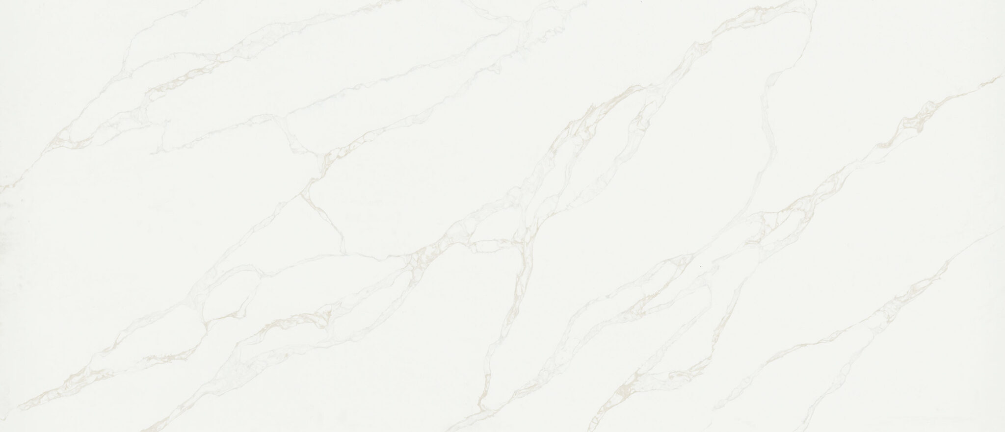 Quartz Calactta Rta Calacatta Rivessa MSI Quartz Countertops - AMF Granite